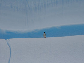 Antarctica cruise